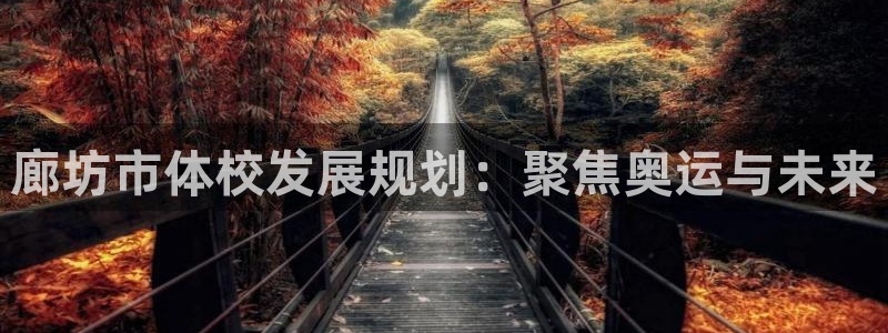 风速体育下载：廊坊市体校发展规划：聚焦奥运与未来