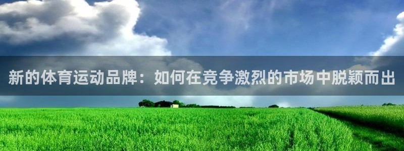 风速体育直播：新的体育运动品牌：如何在竞争激烈的市场中脱颖而出