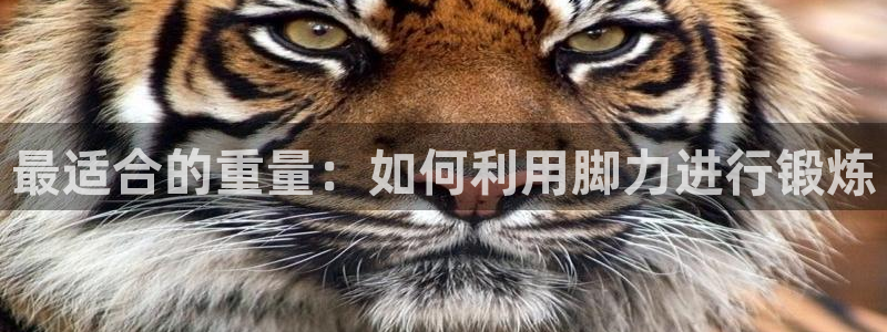 风速体育cba直播：最适合的重量：如何利用脚力进行锻炼