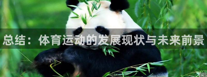 风速体育app：总结：体育运动的发展现状与未来前景