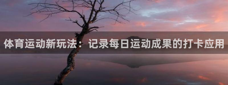 风速体育app：体育运动新玩法：记录每日运动成果的打卡应用