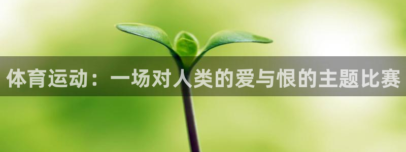 风速体育app：体育运动：一场对人类的爱与恨的主题比赛