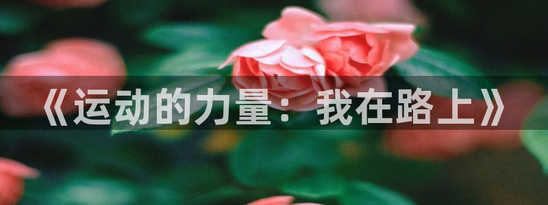 风速体育：《运动的力量：我在路上》