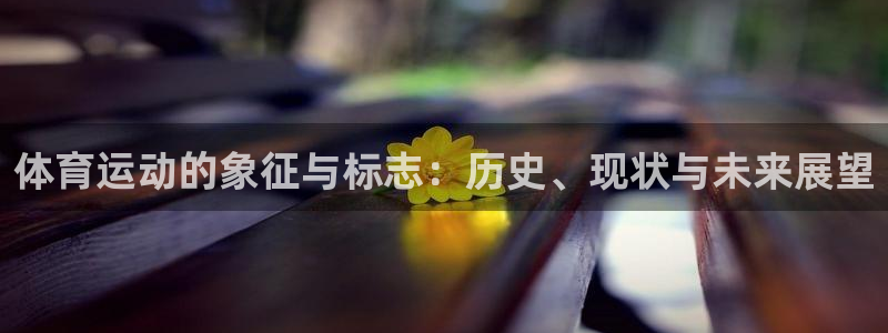 风速体育下载：体育运动的象征与标志：历史、现状与未来展望