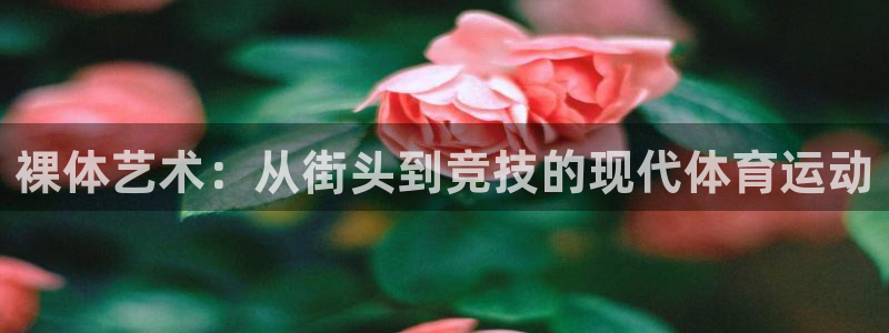 风速体育：裸体艺术：从街头到竞技的现代体育运动