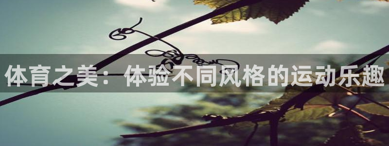 风速体育下载：体育之美：体验不同风格的运动乐趣