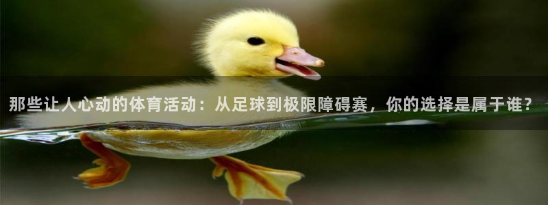 风速体育直播：那些让人心动的体育活动：从足球到极限障碍赛，你的选择是属于谁？
